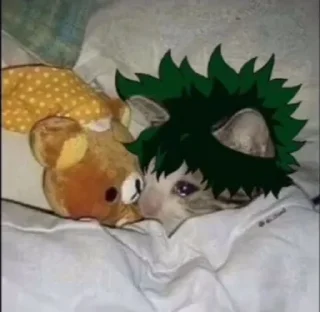 💚