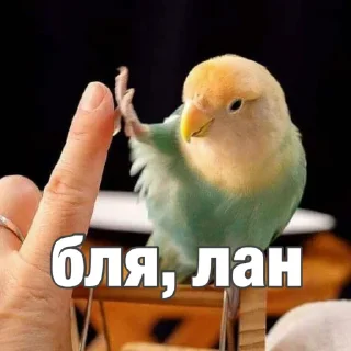 🤝