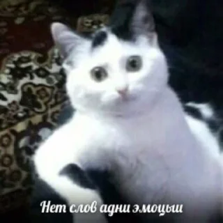 😁