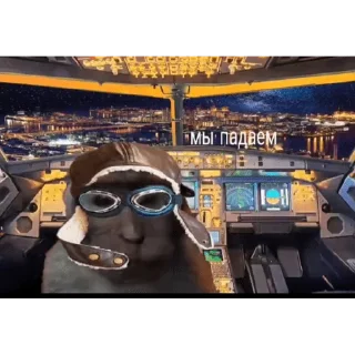 🐵