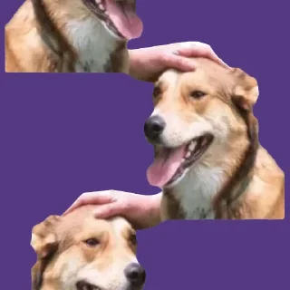 🟪