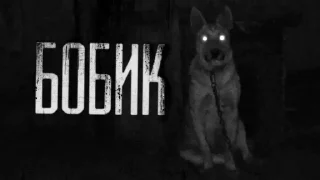 БОБИК... @amare_shit