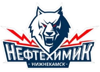 🏒
