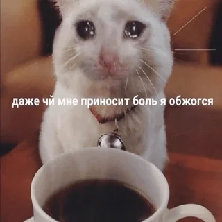 😞
