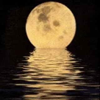 🌝