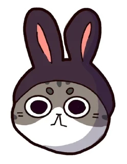 🐇
