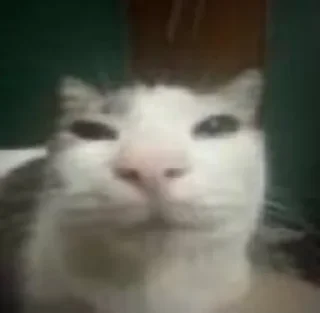 😊