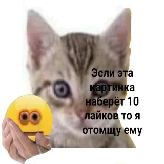 😡