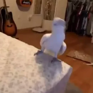 🕺