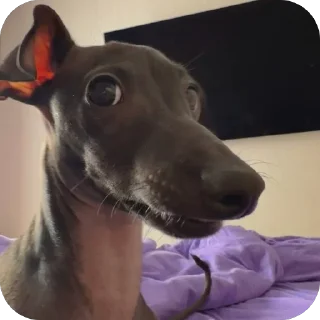 😟