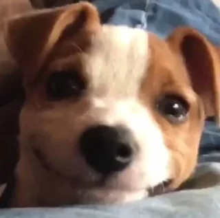 🙂