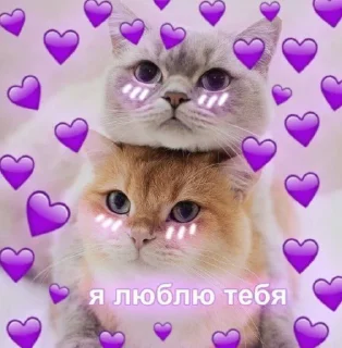 💜