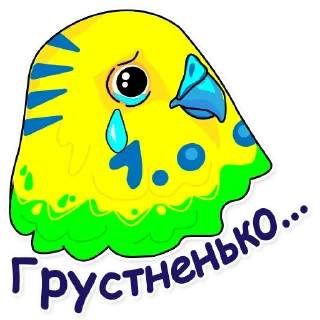 Попугай Аркадий