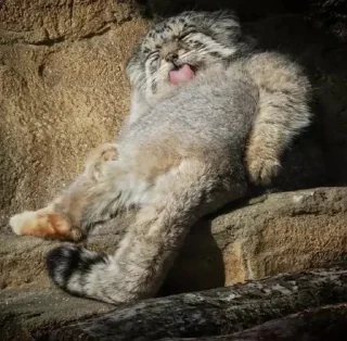 😛