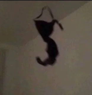 🤩