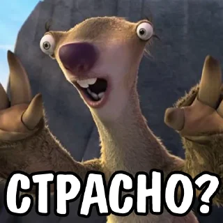 🙀