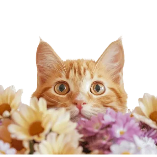 💐