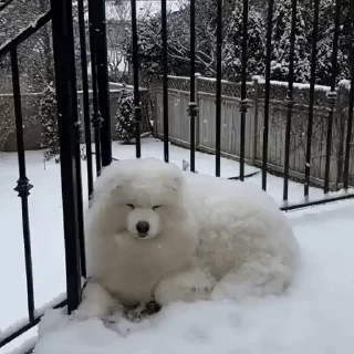❄️