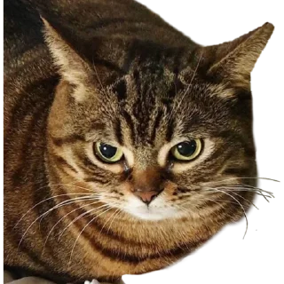😠