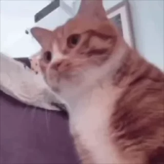 🧐
