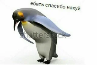 🐧