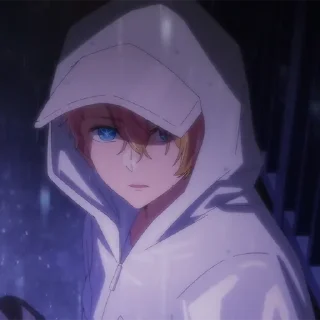 🌟