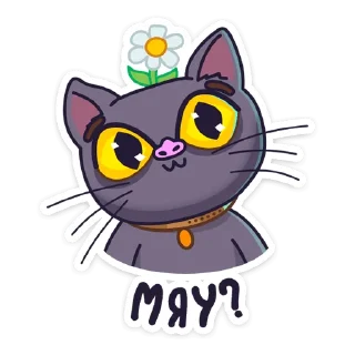 😼