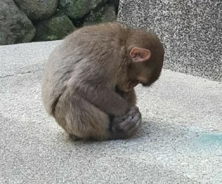 😭