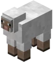 🐑