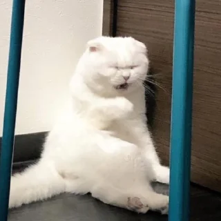 😫