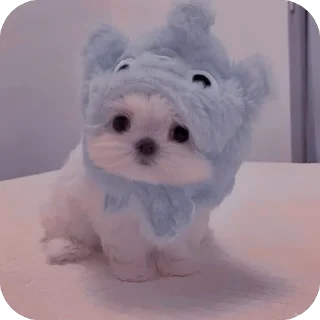 🥶