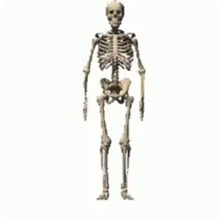 💀