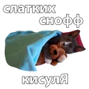 💤