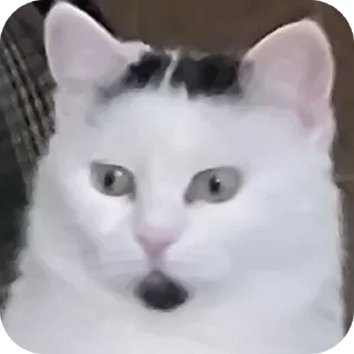 👀