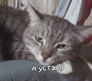 🥲
