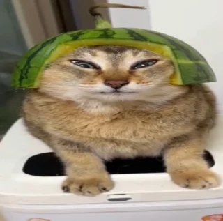 🥸