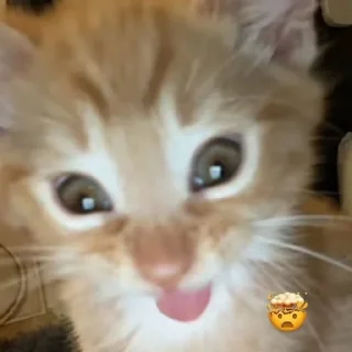 🤯