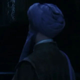 👳