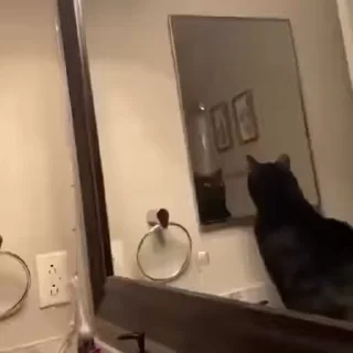 😐