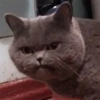 🤨