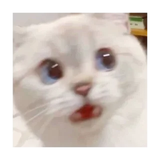 😲