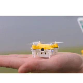 🐝