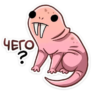 ❓