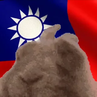 🇹🇼