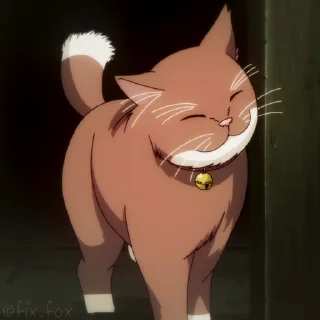 😸