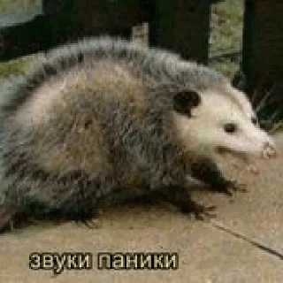 🫥