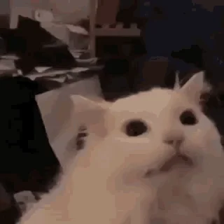 😩