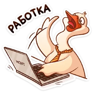 💻