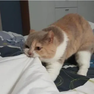 😣