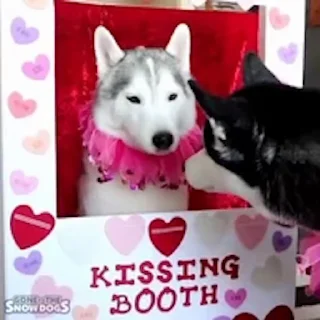 😘